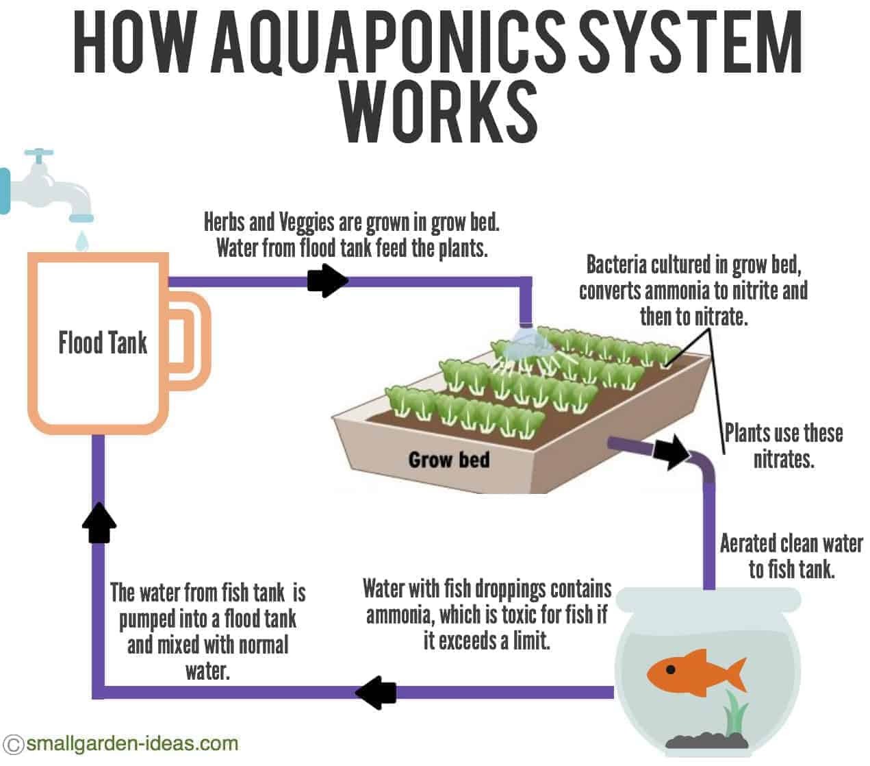Aquaponics systems for indoor gardening - small garden ideas