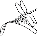Free Pdf Dragon Fly Coloring Pages / 10 Dragonfly Templates Crafts Colouring Pages Free Premium Templates : He first achieved mainstream recognition for his highly successful manga series dr.
