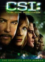 CSI: Crime Scene Investiation - The Complete Sixth Season