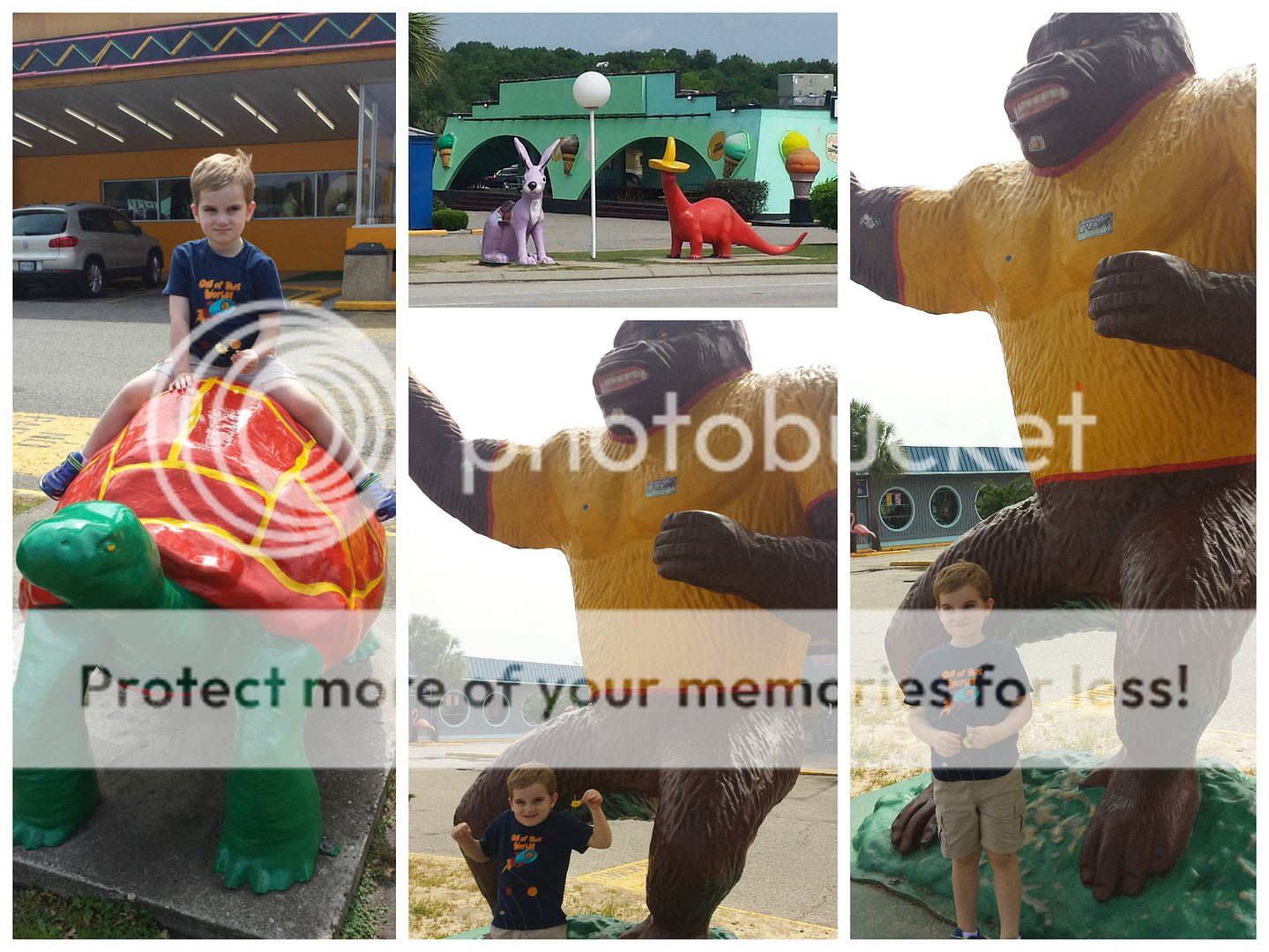  photo May2_zpsrwov4ija.jpg