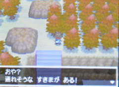 隠し穴の場所と出現するポケモン ポケモン ブラック2 ホワイト2 Bw2 攻略広場