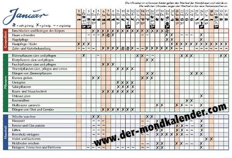mondkalender haare pflanzen
