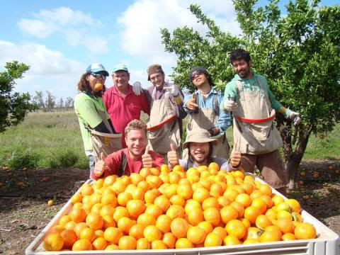 Visa work and holiday nueva zelanda