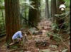 38 Microraptor fools Nigel again