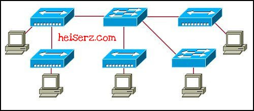 6632439905 96723630de z ENetwork Chapter 10 CCNA 1 4.0 2012 2013 100%
