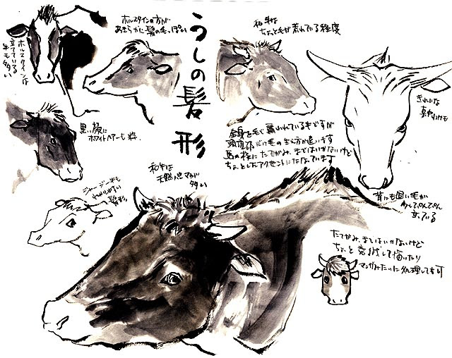 牛の描き方