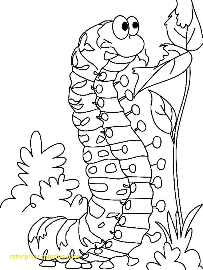 Hungry Caterpillar Drawing at GetDrawings | Free download