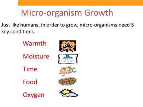sitxfsa  hygienic practices  food retail