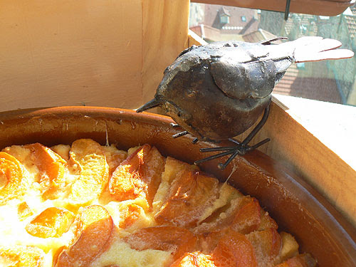 oiseau sur clafoutis 2.jpg