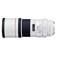 Canon EF 300mm f/4L IS USM Telephoto Lens for Canon SLR Cameras