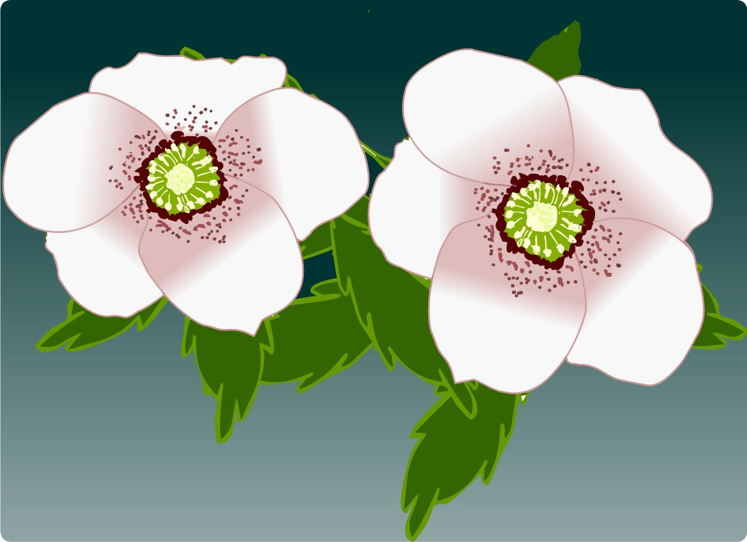 冬景色 冬の花 イラスト 雪景色 無料