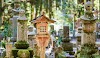 The Ultimate Guide to Japan’s Obon Festival