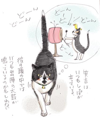 猫事記 前向きな男