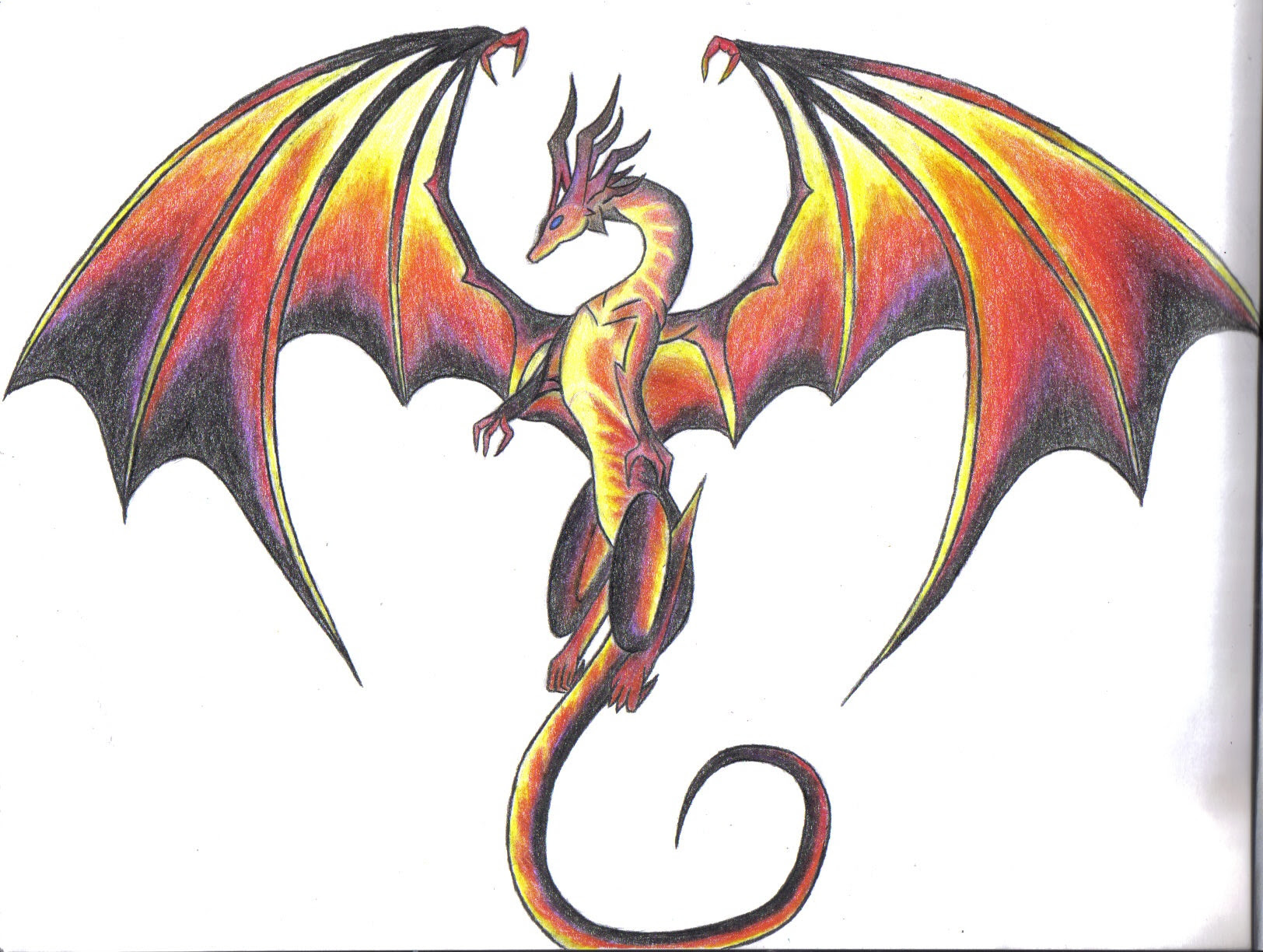 Dragon Drawing Pics At Getdrawings Free Download