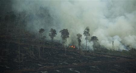 An aerial view of a burning peatland in Rawa Tripa, on the coast of Indonesia's Aceh province, is seen in this handout photo taken March 27, 2012. REUTERS-Carlos Quiles-Coalition to Save Rawa Tripa-Handout