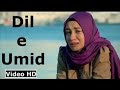 New Pakistani Song Dil E Umeed Tora Hai Kisi Ne Apni Kahani Kesy Kahein Gy Lyrics Sad Song 