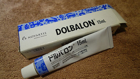 犬の外耳炎に イタグレと ヤッコと 家呑みと