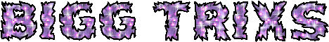 Bigg Trixs