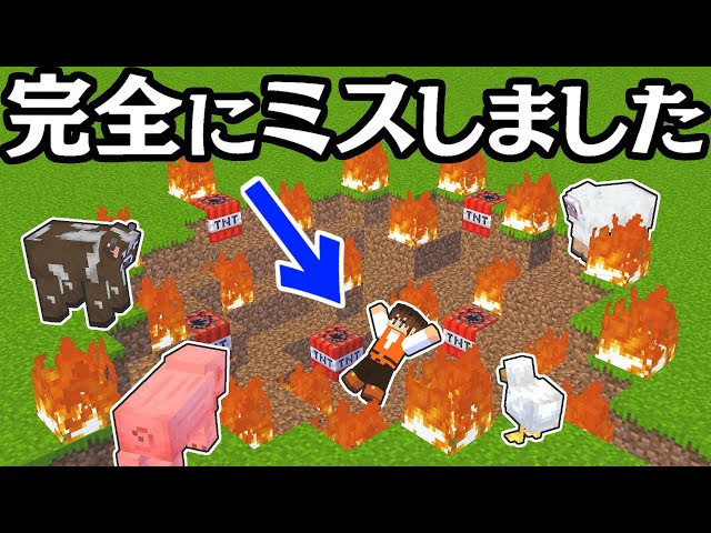 ヤバすぎる大爆発が起きました リスポーンアンカーってこんなに凄いの マイクラ実況part439 マインクラフト マインクラフト 動画まとめ