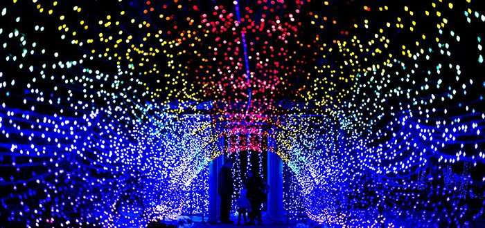 「tower hill botanic garden night lights」の画像検索結果
