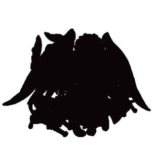 モンスト ビットンワンパン あの星4 5キャラが メルエム で地味に使えると話題にｗｗｗｗｗｗ モンスト攻略news