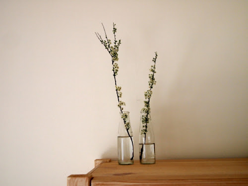 blossom