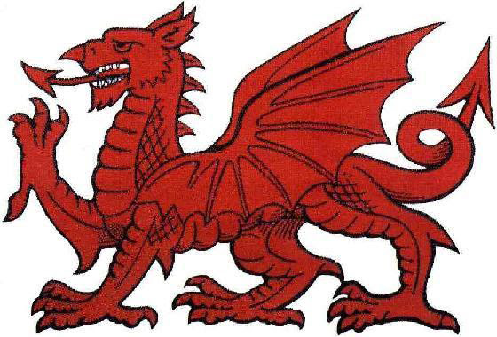 WELSH DRAGON PICTURES, PICS, IMAGES AND PHOTOS FOR YOUR ...
