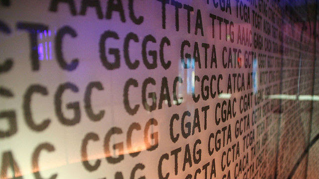 Stop Relying on Genetics and Build Muscle with Science