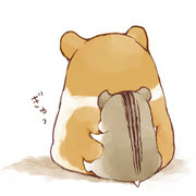なにこれかわいい 動物 Pixiv年鑑 B