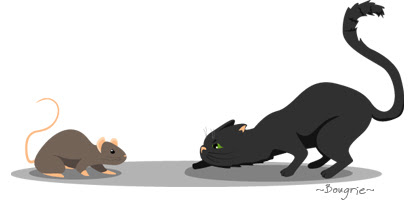 Chat Felins Les Proverbes