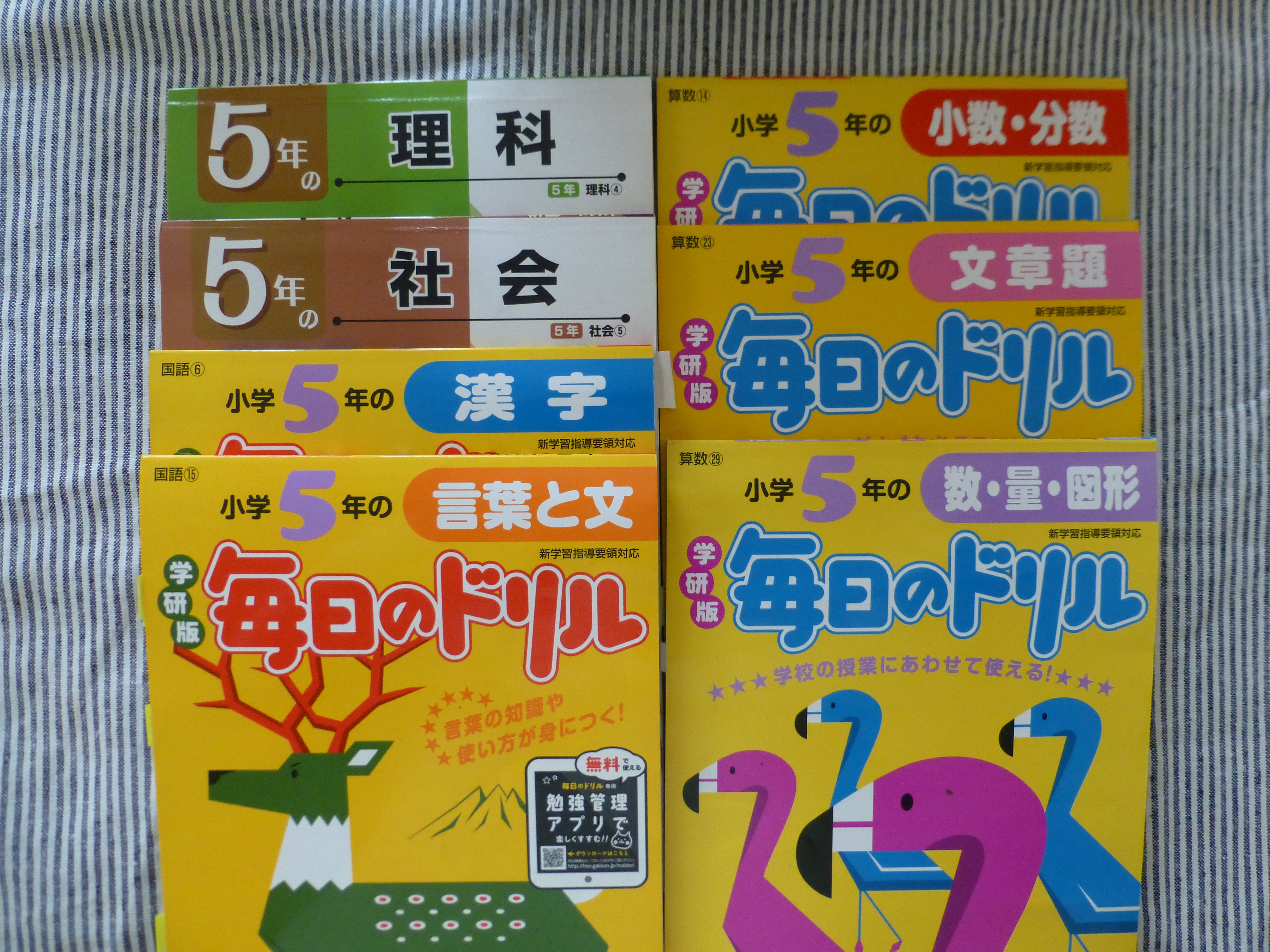 我が家の小学生の家庭学習は市販のドリルです