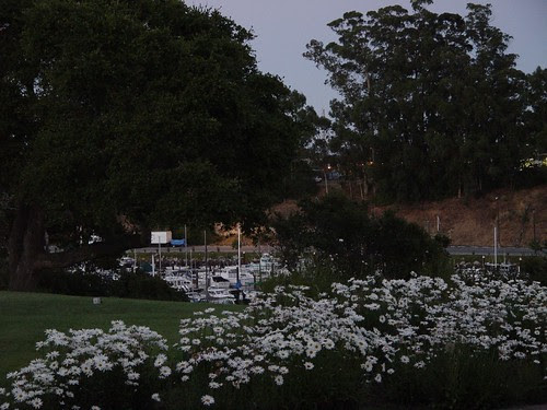 Evening View from Our Backyard
