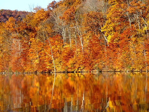 reflexii de toamna Orange Autumn Reflection