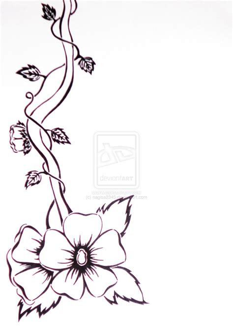 flower vines drawings black white flower vine