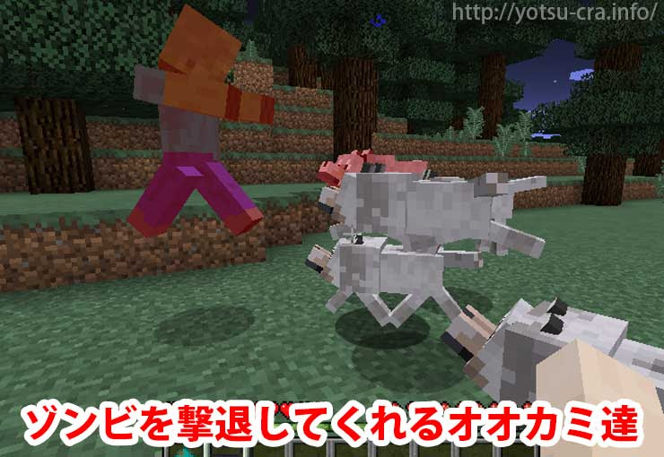マインクラフト 狼の見つけ方 捕まえ方 繁殖方法も徹底解説