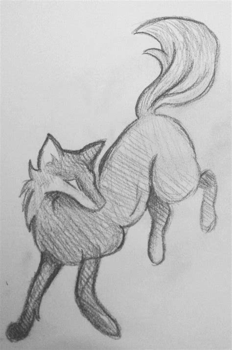 simple wolf  fox sketch  drawings pencil drawings