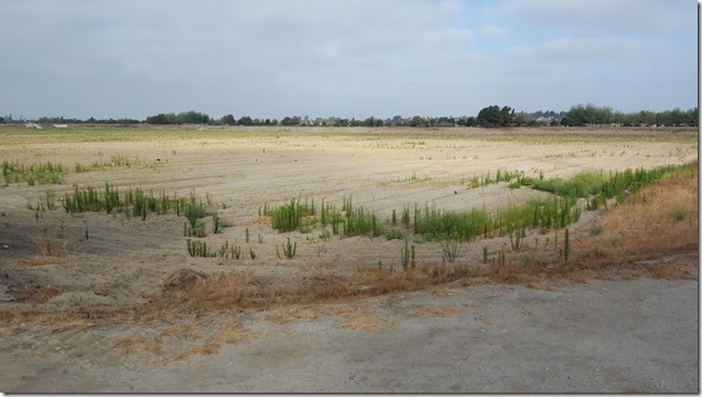 running in pico rivera 2 (800x450)