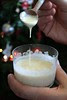 crema setosa al formaggio di elena
