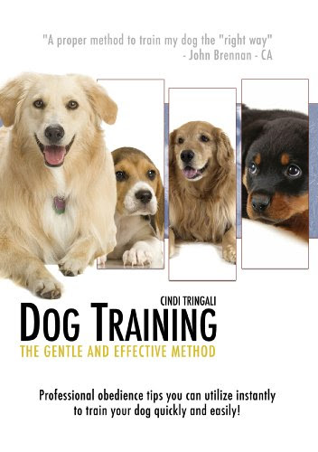 How to learn Dog Training