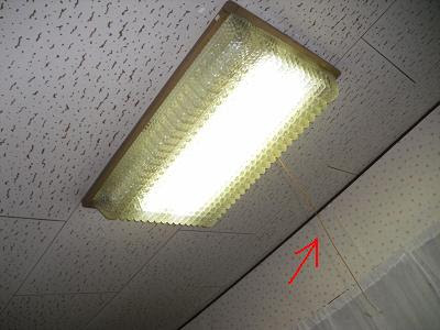 超レトロな電気の紐を可愛くしました ホラ貝通り１２４番地