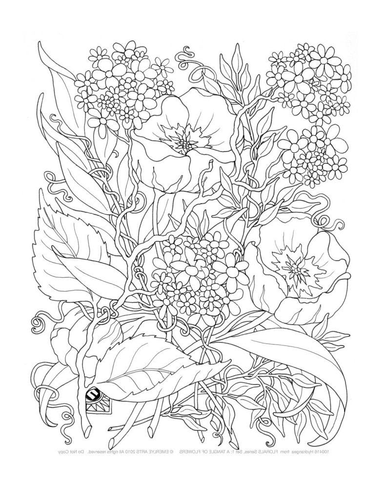 Adult Only Coloring Pages - Coloring Home