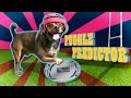 [Rugby World Cup] Australia v Fiji Rugby World Cup 2015 - Puggle Predictor