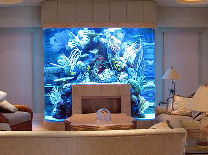 Unusual Fish Tanks Aquariums