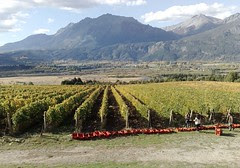 patagonia
