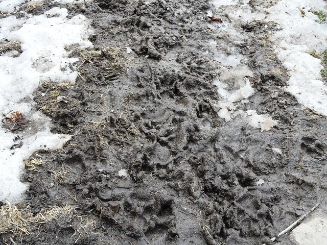 March 2013