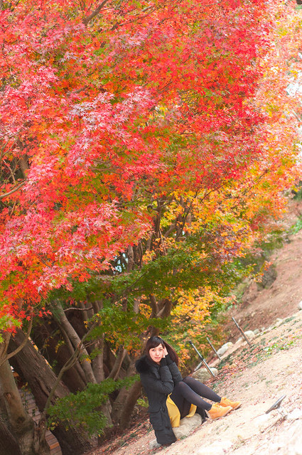 DSC_6225
