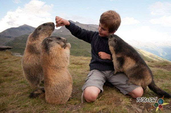animals-photo-21.jpg