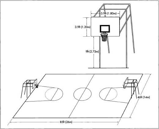 basketball court background. A standard asketball court.