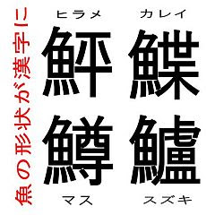子供2号にいきなり魚ヘン漢字クイズを挑まれちょっとアセる へた釣り こむ