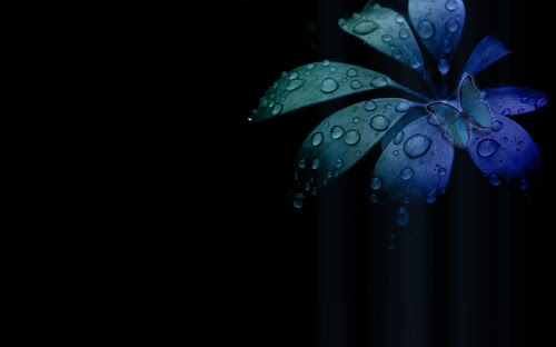 black wallpapers